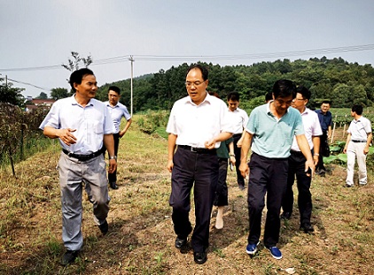 趙振華實(shí)地調(diào)研六國扶貧項(xiàng)目時要求    努力做強(qiáng)做優(yōu)集體產(chǎn)業(yè)   帶動更多群眾脫貧致富